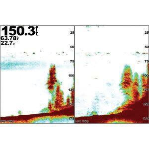 GARMIN GSD- 25 Advanced Sonar Module, dual-channel 1 kW CHIRP, plus Garmin CHIRP DownVü and SideVü sonar scanning | 010-01159-00
